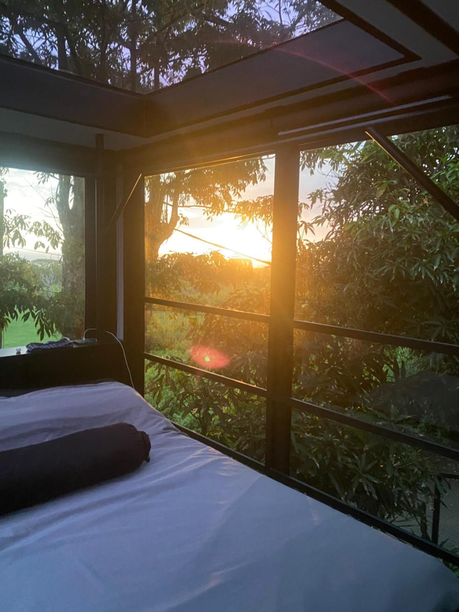 Polpo Nero Villa Uluwatu Værelse billede